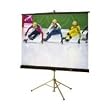 Draper Consul Tripod Projection Screen - 50" x 50" - Fiberglass Matt White - 71" Diagonal
