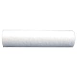 0.5 Micron Sediment Replacement Filter