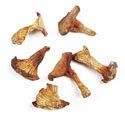 CHANTERELLES, 6 - 1 oz. clamshells