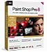 Paint Shop Pro 8 �Ѹ���
