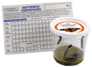 Certificate for Live Butterfly Garden