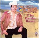 Y Sus Corridos Bravos