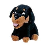 image link - - B0002JW4GW
