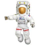 Shuttle Commander Steve