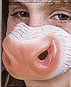 Cow Nose