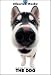 THE DOG Artlist - Siberian Husky - Hand Book - 6 Postcards