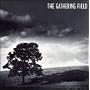 The Gathering Field