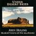 Under Desert Skies