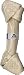 Vo Raw Heavy Shin Bone 15-16