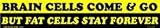 Brain cells come and go but fat cells stay forever bumper sticker