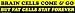 Brain cells come and go but fat cells stay forever bumper sticker