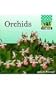 Orchids (Checkerboard Science and Nature Library)