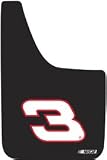 Dale Earnhardt Splash Guards