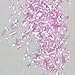 Gourmet Food : Pink Edible Glitter