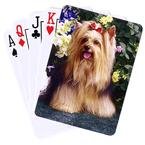Dog Breed Cards Yorkshire Terrier