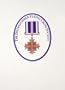Distinguished Flying Cross - 2nd Ed (Limited)