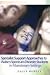 Specialist Support Approaches to Autism Spectrum Disorder Students in Mainstream Settings