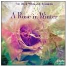 Rose in Winter