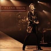 Celine Dion - Un Garcon Pas Comme Les Autres (Ziggy) (Live) Lyrics - Zortam Music