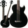 Washburn AB10 Thinbody Acoustic Bass