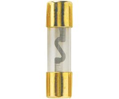10 Amp High Amp AGU Fuses