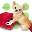 sentiment~for Dogs&Human~