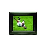 V-LCD5.6-PRO 5.6 LCD Monitor with Audio & Reverse Image