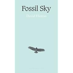 Fossil Sky Cover
