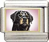 Clearly Charming Rottweiler Italian Charm