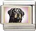 image 17 - Clearly Charming Rottweiler Italian Charm