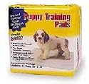 Scented Puppy Training Pads with Attractant, 23 x 24 in., Disposable, Case of 10/10s (100 ct)