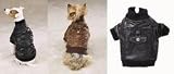 BROWN K9 Bomber Jacket