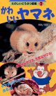 かわいいヤマネ たのしいどうぶつ図鑑2[ビデオ]の画像