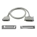 Belkin Double-Shielded External SCSI II/III Adapter Cable (6 Feet, DB50M to DB68M)