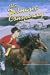 The Delmarva Conspiracy by Sharon Miner