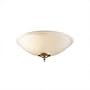 Hunter 28558 15'' Bowl Light Fixture, Frosted