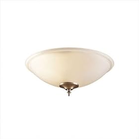 Hunter 28558 15'' Bowl Light Fixture, Frosted
