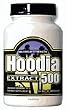 Hoodia Extract 500 by ANSI 60 Capsules