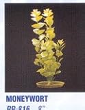 HAGEN Aquascaper LARGE PLANT MONEYWORT