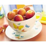 Cereal Cup Paradise Butterfly
