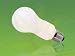 CFL AC Light Bulb Globe, 4-PACK