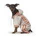 Go For It Fleece Jogging Suit in Gray and Orange for Dogs by DC