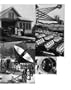 A Golden Thread: 2500 Years of Solar Architecture and Technology