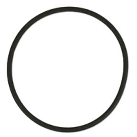 CPR Replacement O-Ring For BakPak - Dual BakPak & AquaFuge PS Refugiums