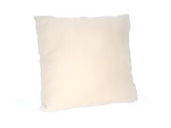 Throw Pillow, Canvas