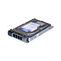Origin Storage DELL-1000NLS/7-S11 1TB Hot Swap Festplatte (8,9 cm (3,5 Zoll), 7200 rpm)