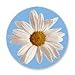Funmade Bath Stickers, Daisy #223... 10 pack