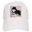 Dogs Pomeranian - Black and Tan Pomeranian - Caps