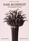 Karl Blossfeldt : the alphabet of plants