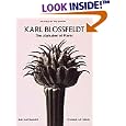 Alphabet of Plants (Masters of the Camera)